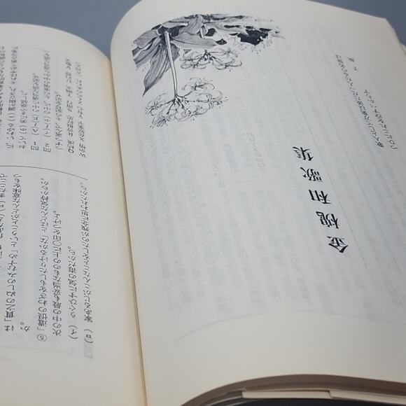 Manyo, Kokin, Shinkokin Japanese Poetry: Man'yōshū Kokin Wakashū Shin Kokin Waka - Picture 11 of 15